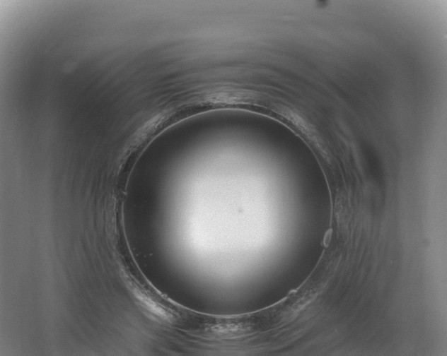 X0000062620445200512230951