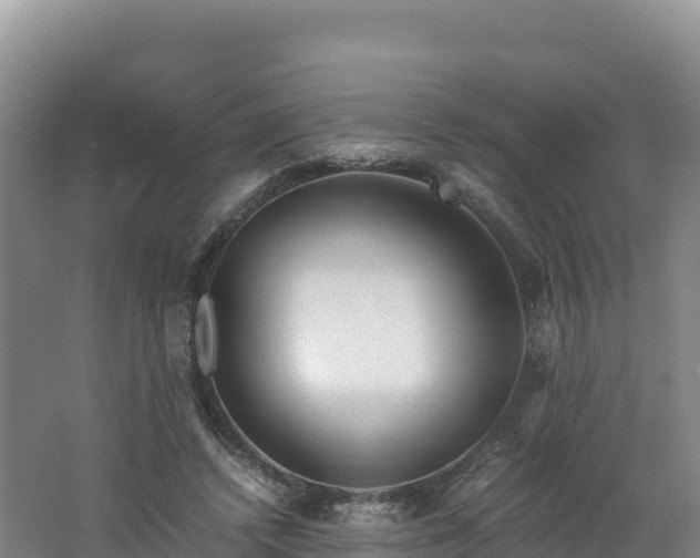X0000062620448200512230951