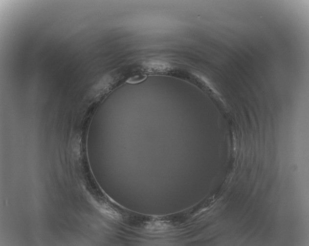 X0000062620451200512230951