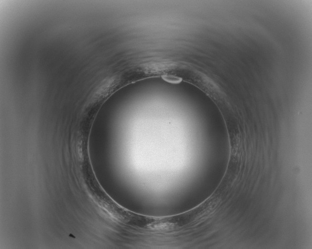 X0000062620452200512230951