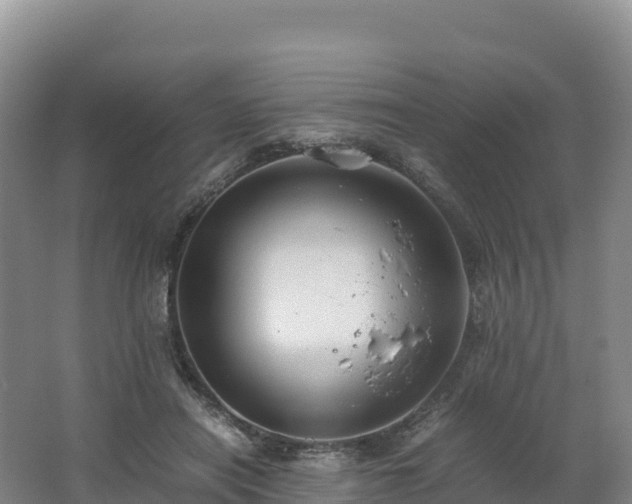 X0000062620454200512230951