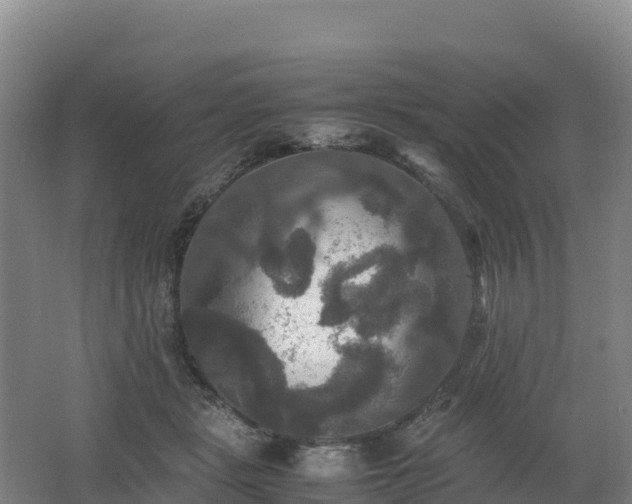 X0000062620461200512230951