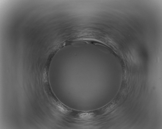 X0000062620465200512230951