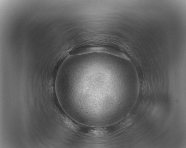 X0000062620466200512230951