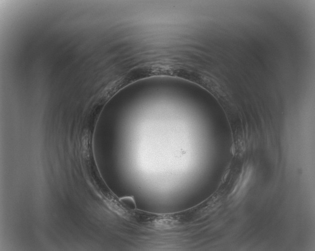 X0000062620468200512230951