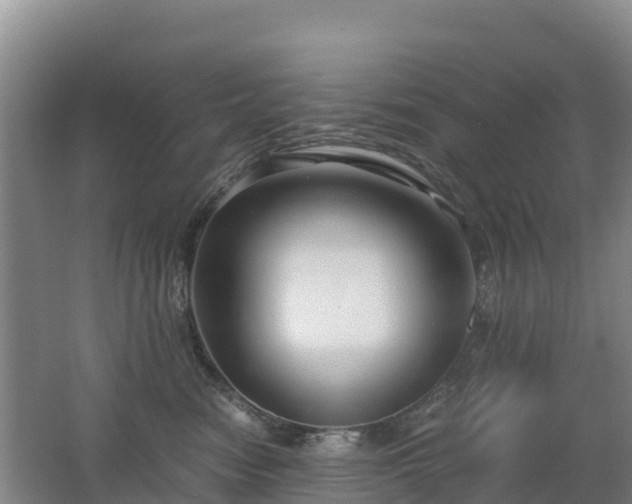 X0000062620474200512230951