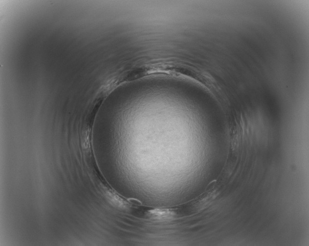 X0000062620477200512230951