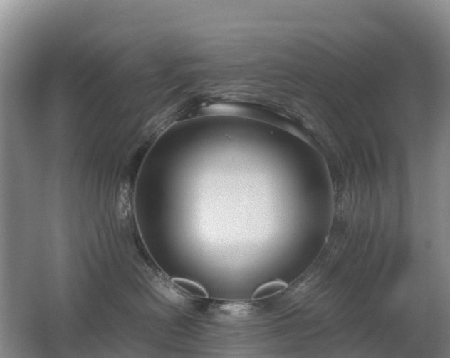 X0000062620478200512230951