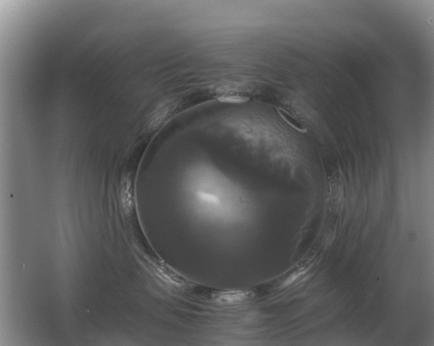 X0000062620479200512230951