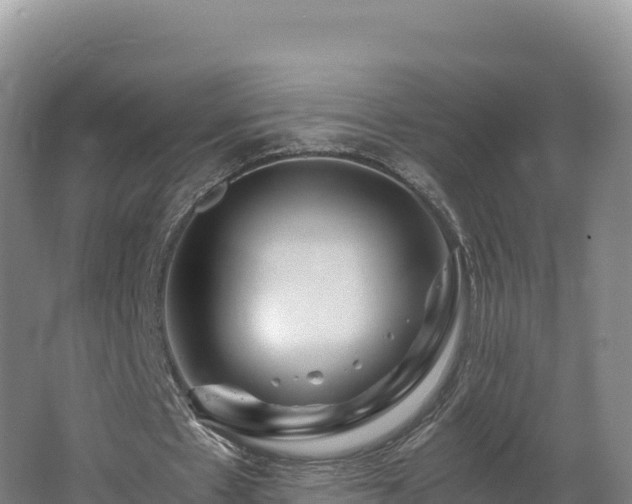 X0000062620481200512230950