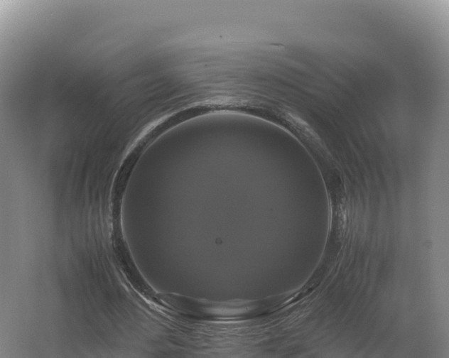 X0000062620484200512230950