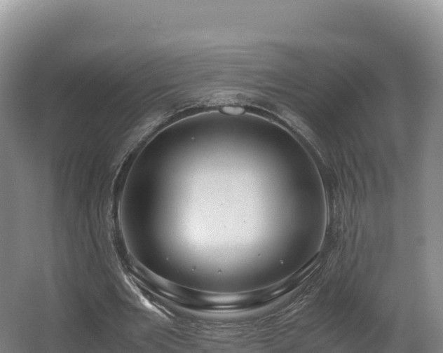 X0000062620485200512230950