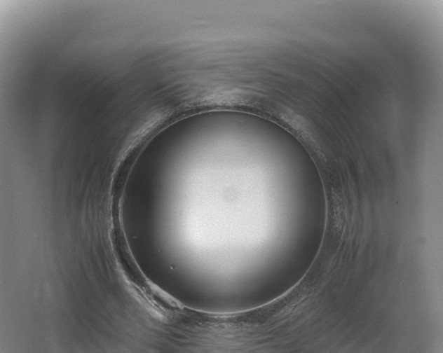 X0000062620486200512230950