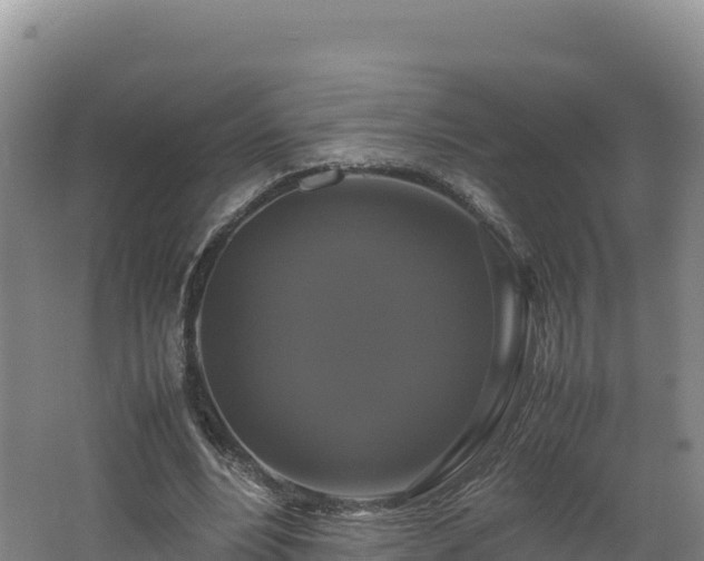 X0000062620488200512230950