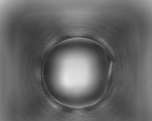 X0000062620489200512230950