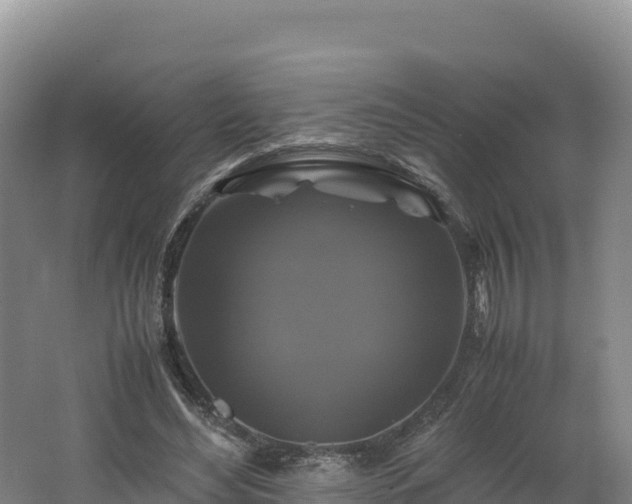 X0000062620492200512230950