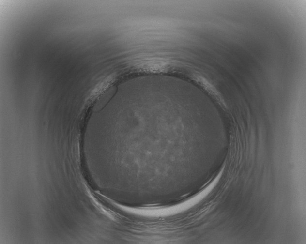 X0000062620493200512230950