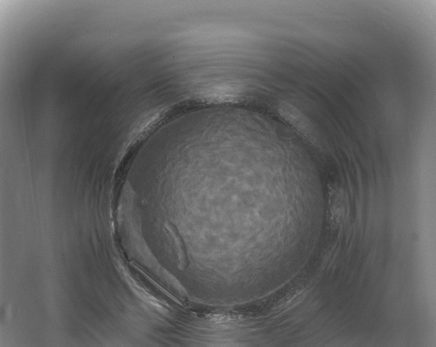 X0000062620494200512230950