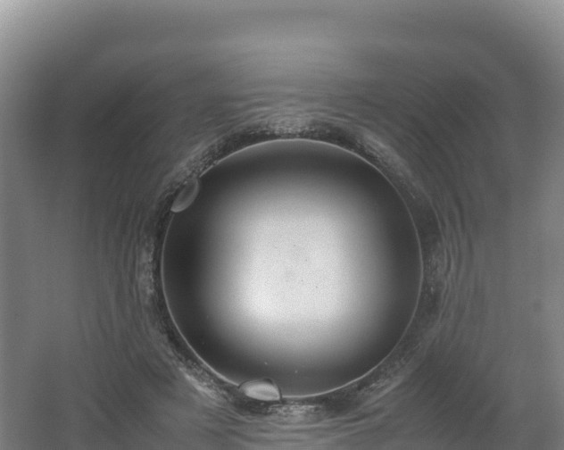 X0000062620497200512230950