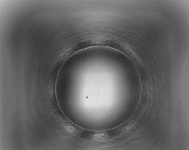 X0000062620505200512230950