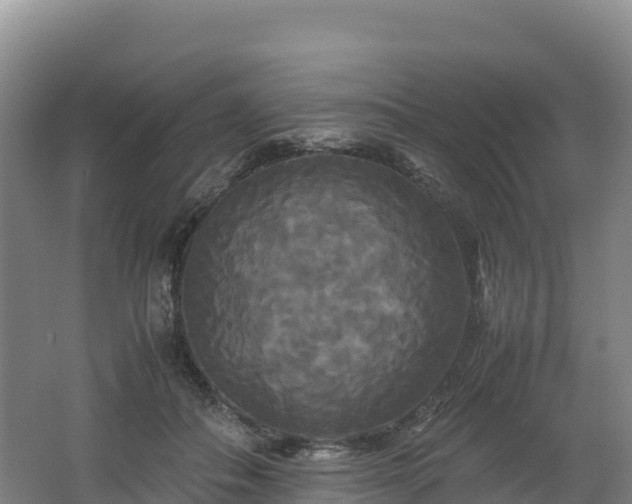 X0000062620506200512230950