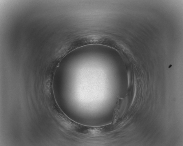 X0000062620509200512230950