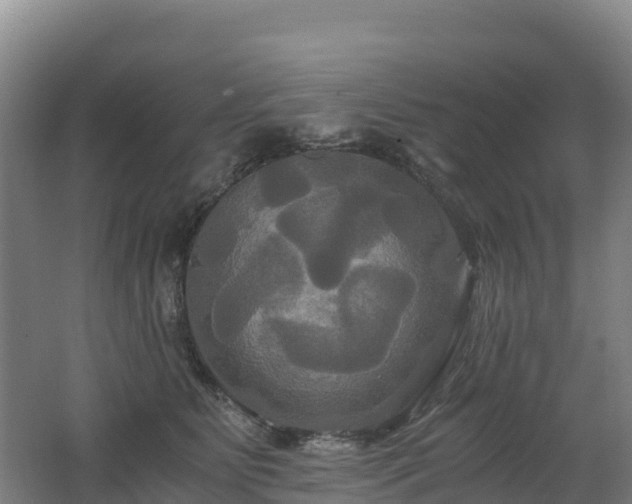 X0000062620515200512230950