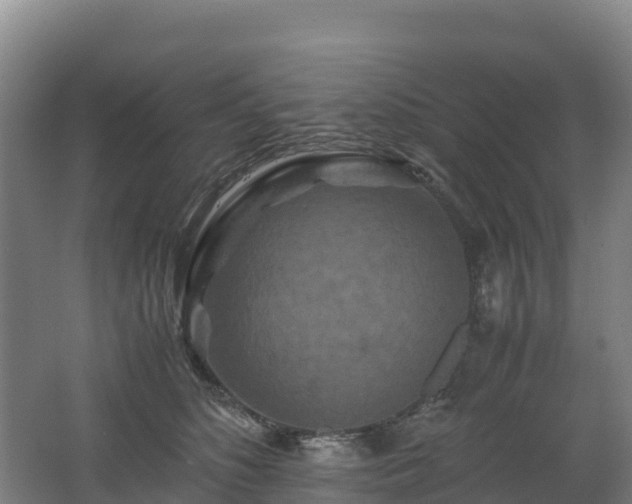 X0000062620516200512230950