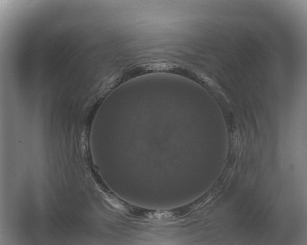 X0000062620517200512230950