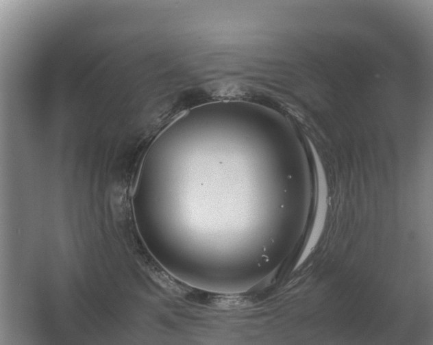 X0000062620521200512230950