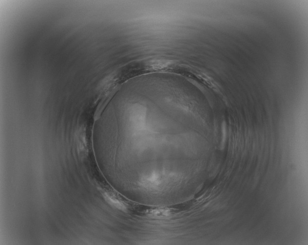 X0000062620524200512230950