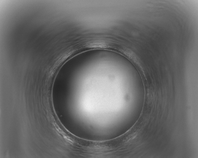 X0000062620529200512230949