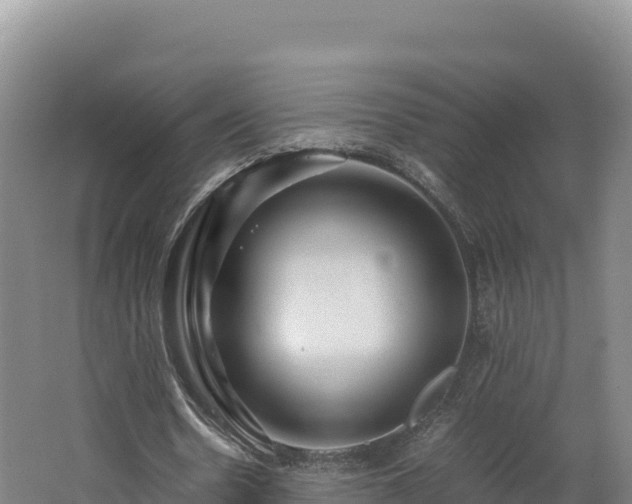 X0000062620530200512230949