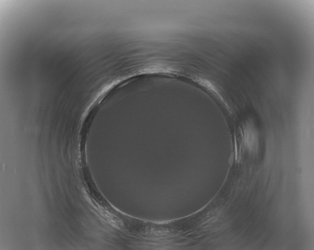 X0000062620531200512230949