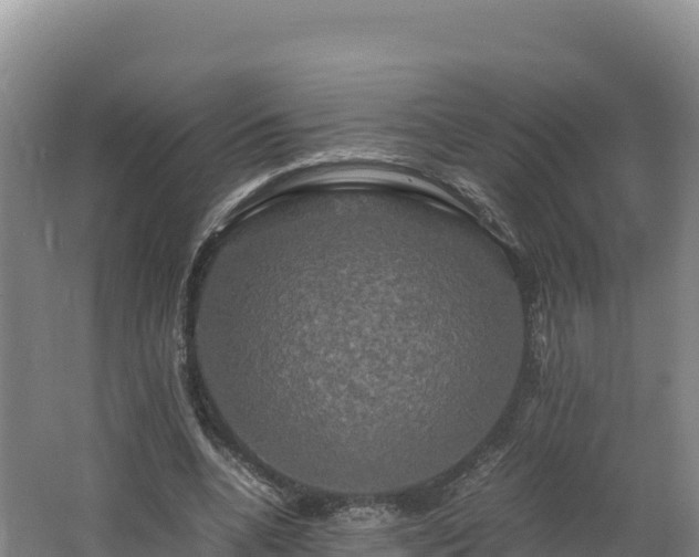 X0000062620536200512230949