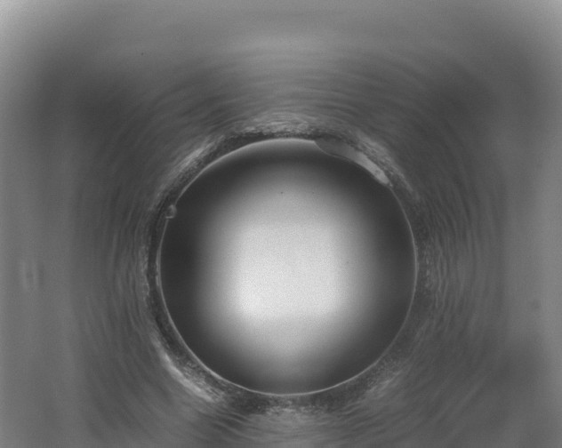 X0000062620538200512230949