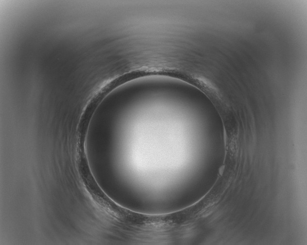 X0000062620540200512230949
