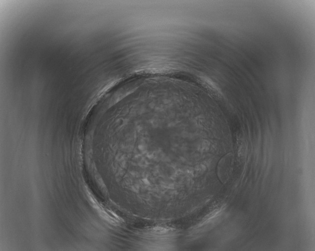 X0000062620542200512230949