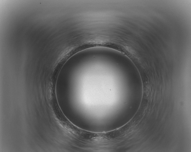 X0000062620544200512230949