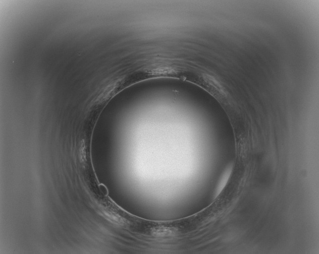 X0000062620549200512230949