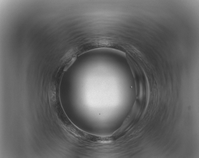 X0000062620552200512230949
