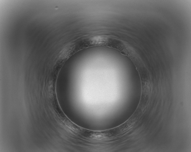 X0000062620557200512230949