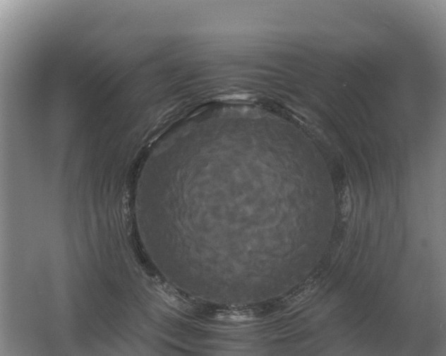X0000062620559200512230949