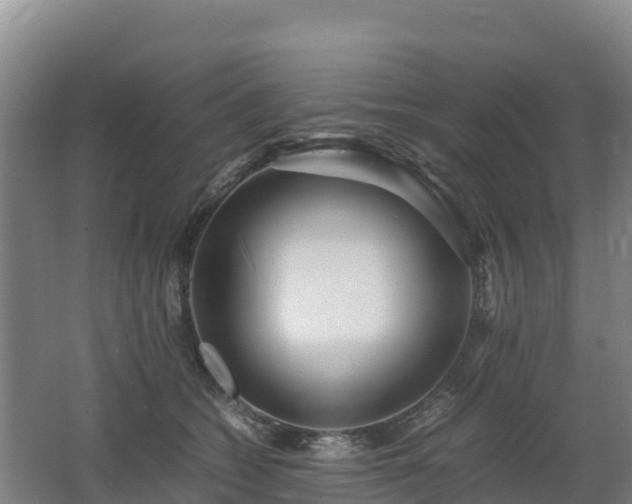 X0000062620562200512230949
