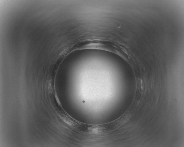 X0000062620564200512230949