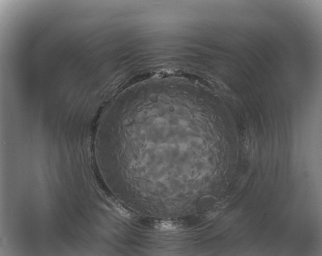 X0000062620565200512230949