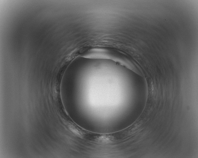 X0000062620566200512230949