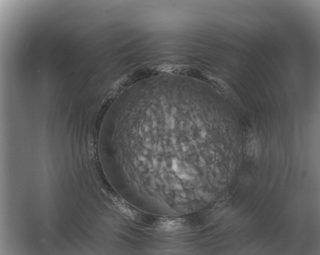 X0000062620569200512230949