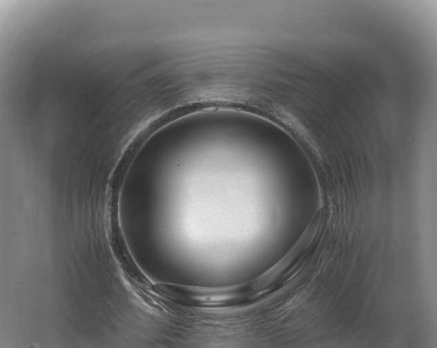 X0000062620580200512230949