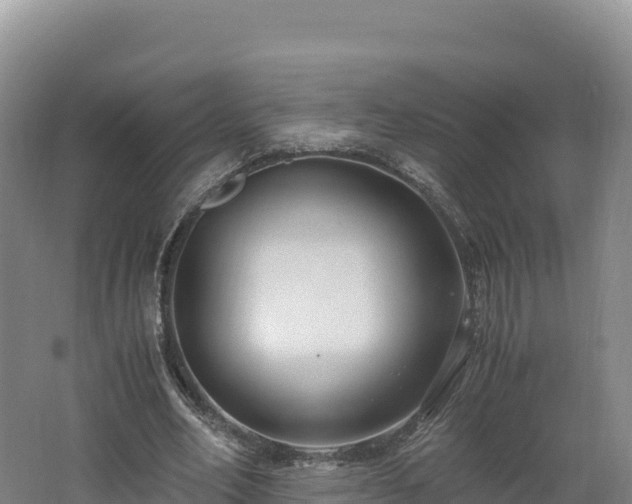 X0000062620582200512230949